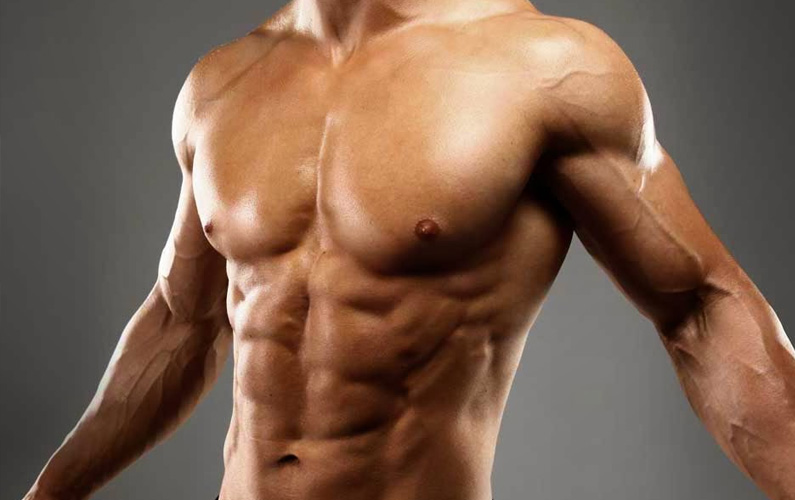 Muscle Growth Supplements